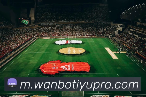 App Interface Preview